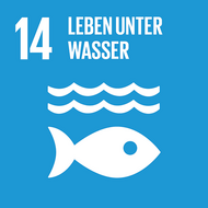17 Ziele nachhaltiger Entwicklung - Ziel 14 - Leben unter Wasser