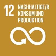 17 Ziele nachhaltiger Entwicklung - Ziel 12 - nachhaltiger Konsum und Produktion