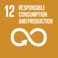 SDG - Goal 12: Responsible consumption and production